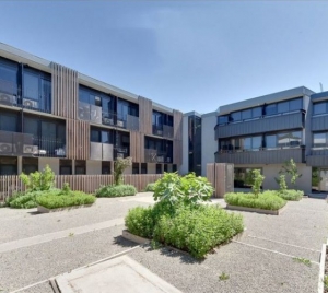 Burwood Hwy Apartments
